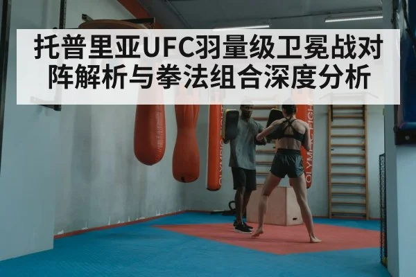 boxing punch combination training