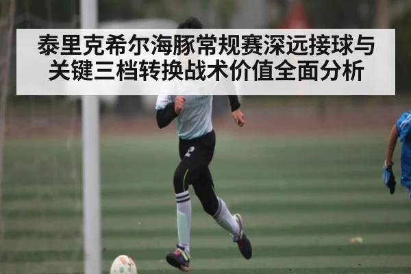 泰里克希尔海豚常规赛深远接球与关键三档转换战术价值全面分析